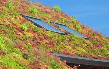 Moreleigh living roof systems
