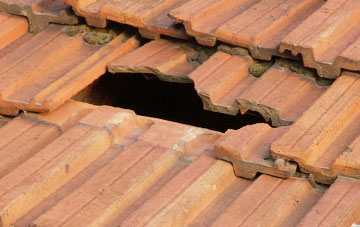 roof repair Moreleigh, Devon